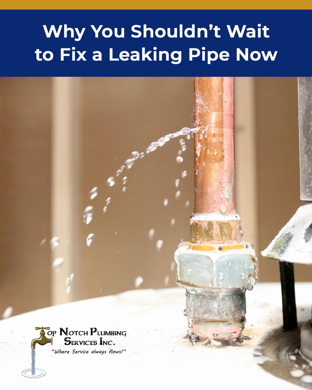 Why You Should Fix a Leaking Pipe Now